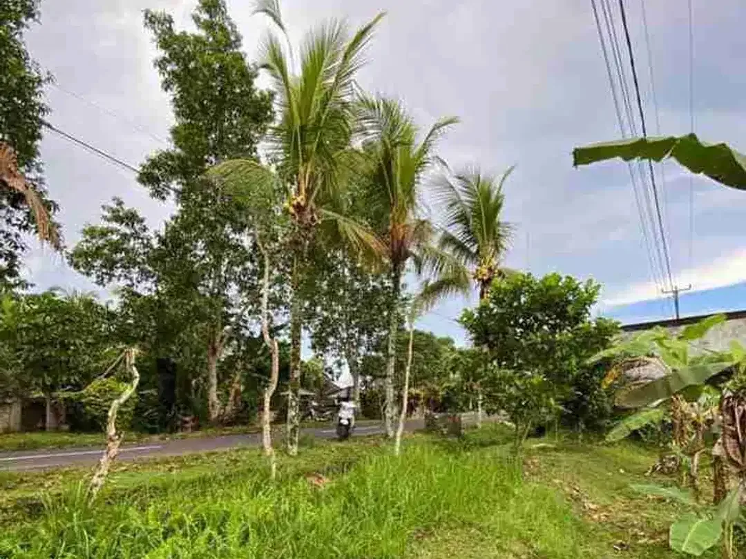 Tanah Megati Bantas Selemadeg Timur Zona Kuning - Image 8 of 8