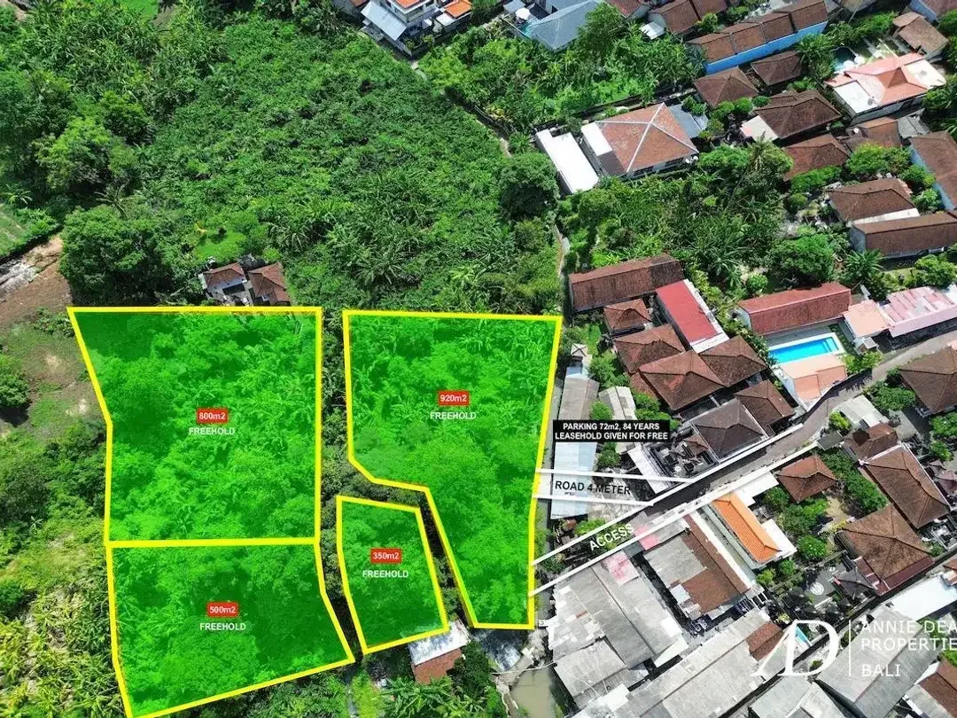 FREEHOLD & LEASEHOLD LAND OPPORTUNITY IN PADONAN - CANGGU - Image 5 of 10
