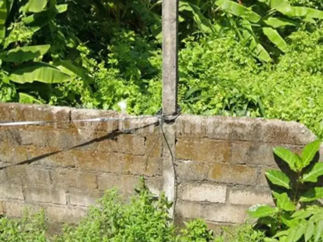 Dijual Tanah Pinggir Jalan Area Perumahan Jimbaran - Image 6 of 7
