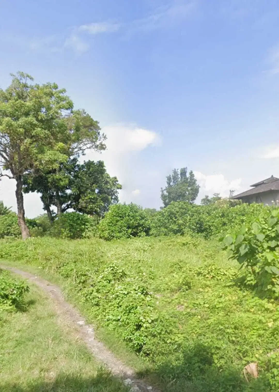 BUC 15 Are View Pantai Lingkungan Villa di Ketewel Gianyar - Image 4 of 9