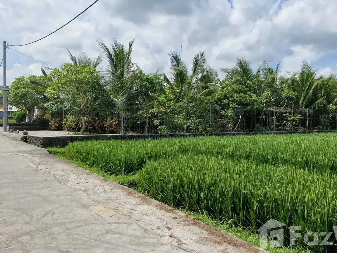 Land for sale in Nyanyi, Bali - Image 4 of 4