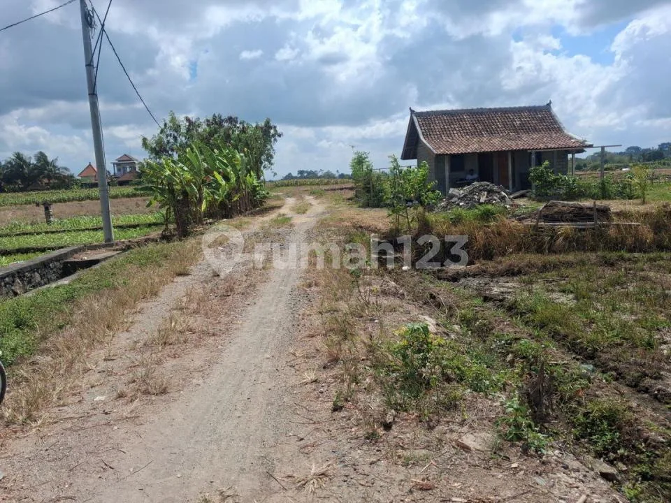 Dijual Tanah Plot Kecil 300 MÂ² Murah - Tibubiyu, Kerambitan, Tabanan Bali - Image 4 of 4