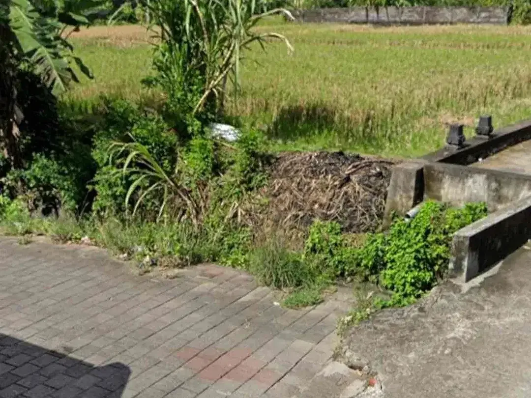Dijual Tanah Strategis Jalan Sukawati Gianyar - Image 4 of 7