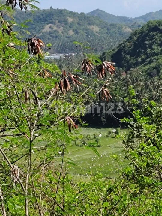 For Sale 3 Hektar Land Close To Alila Resort And Pecan View - Image 3 of 4