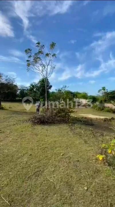 Belakang Gwk, Tanah SHM Zona Kuning Ungasan - Badung, Bali - Image 4 of 4