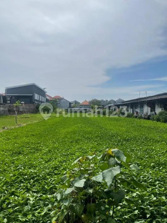 Tanah Luas Zona Kuning Area Strategis Nakula Seminyak Badung - Image 3 of 4