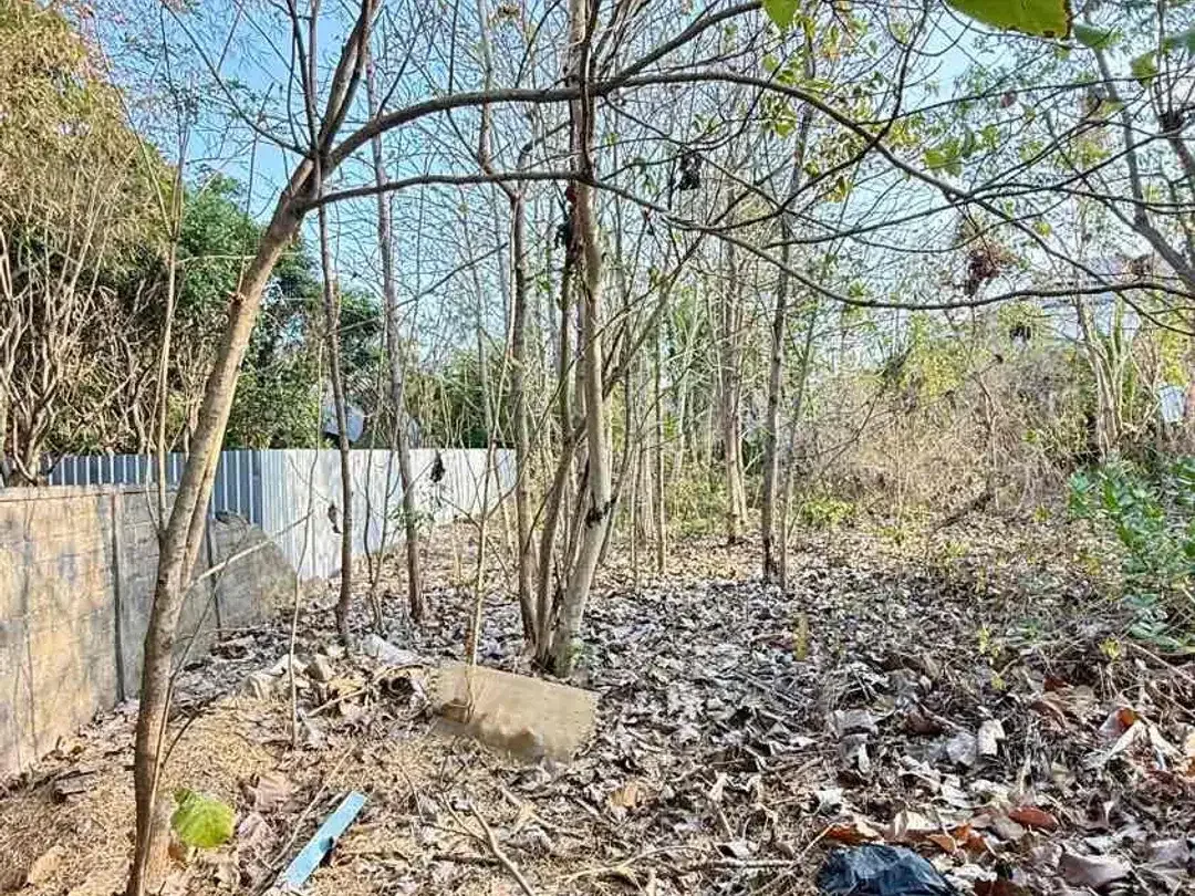 PRIME LAND BINGIN – 9,07 ARE ZONA PARIWISATA, PECATU BALI - Image 8 of 10