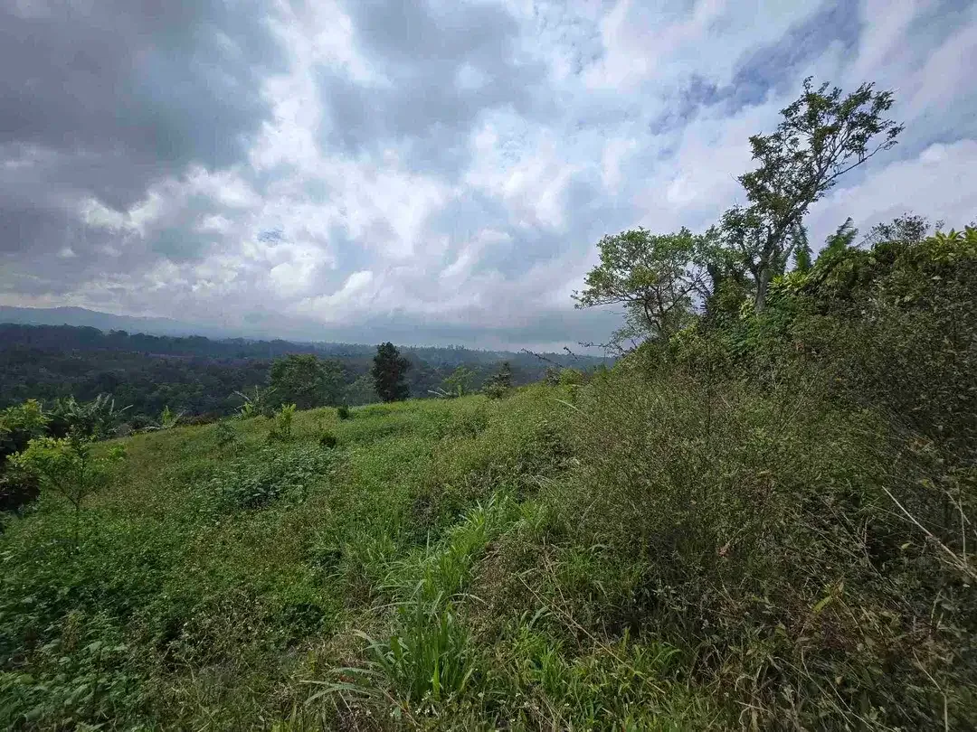 Dijual tanah view lembah sangat cantik di kintamani bali - Image 9 of 10