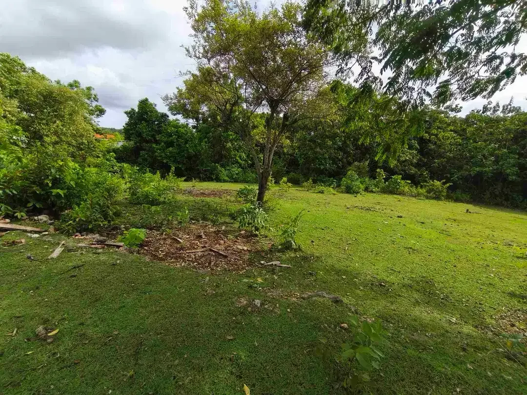 dijual tanah 1430m² IDR 750 juta per are kawasan pantai balangan jimbaran - Image 10 of 10