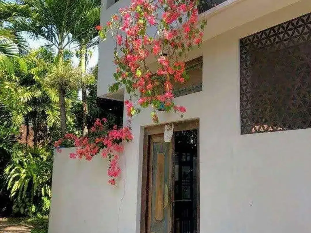 Leasehold - High-Potential Property Near Kedungu Surf - Ideal for Living or Rental, Kedungu, Tabanan, Bali! - Image 3 of 10
