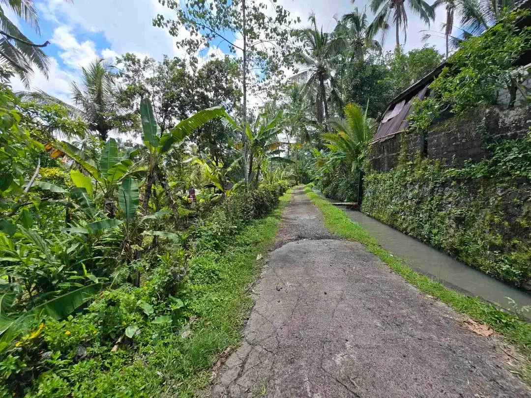Dijual tanah murah los sungai di tabanan bali - Image 9 of 10