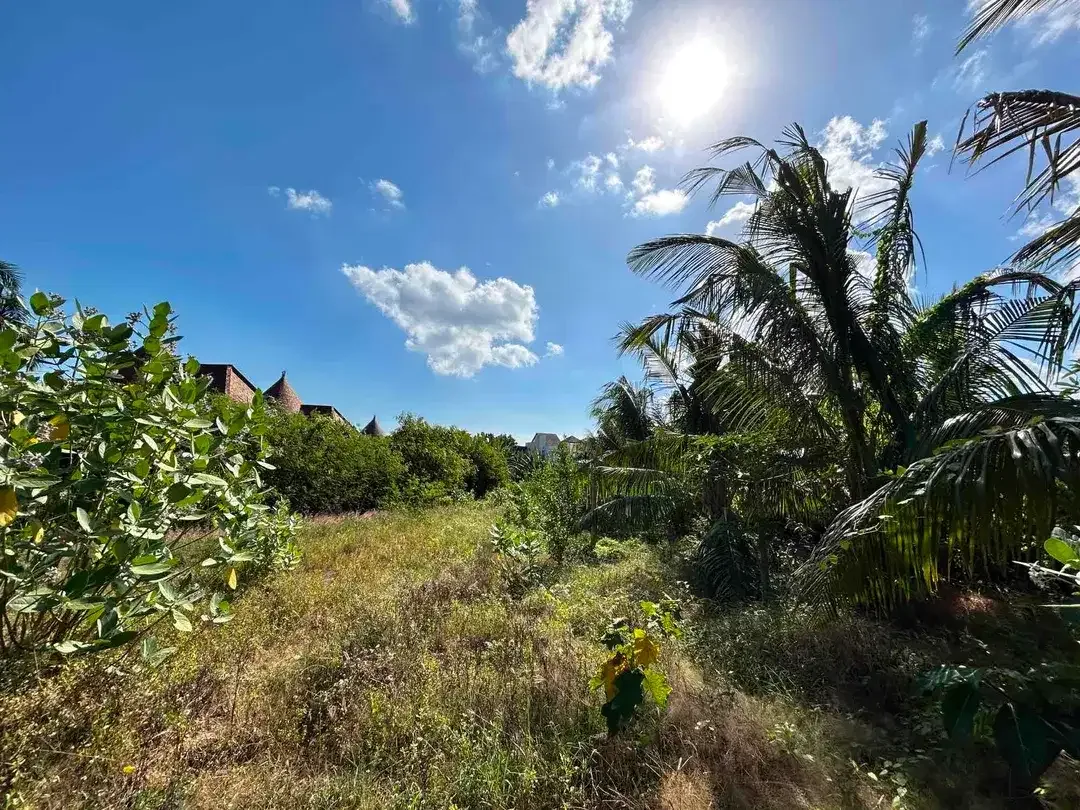 31 ARE LAND READY TO BUILD IN SEMINYAK PREMIUM AREA - Image 4 of 8
