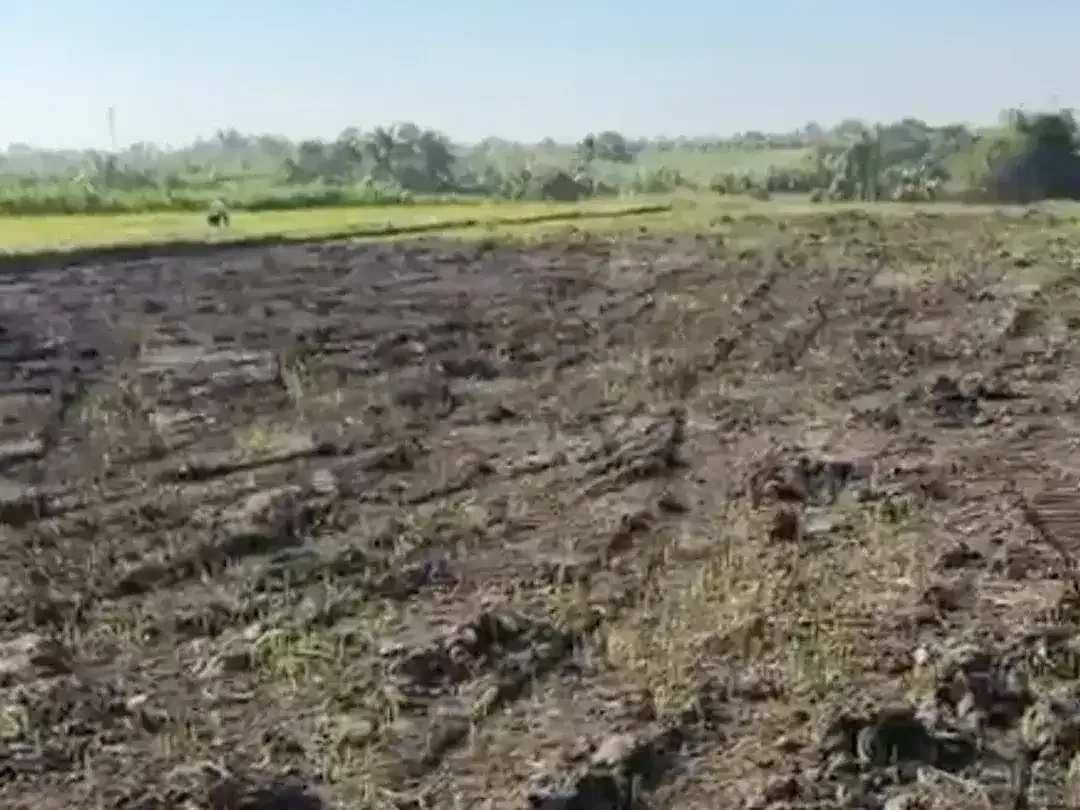 Land for sale in Kerambitan, Bali - Image 1 of 5