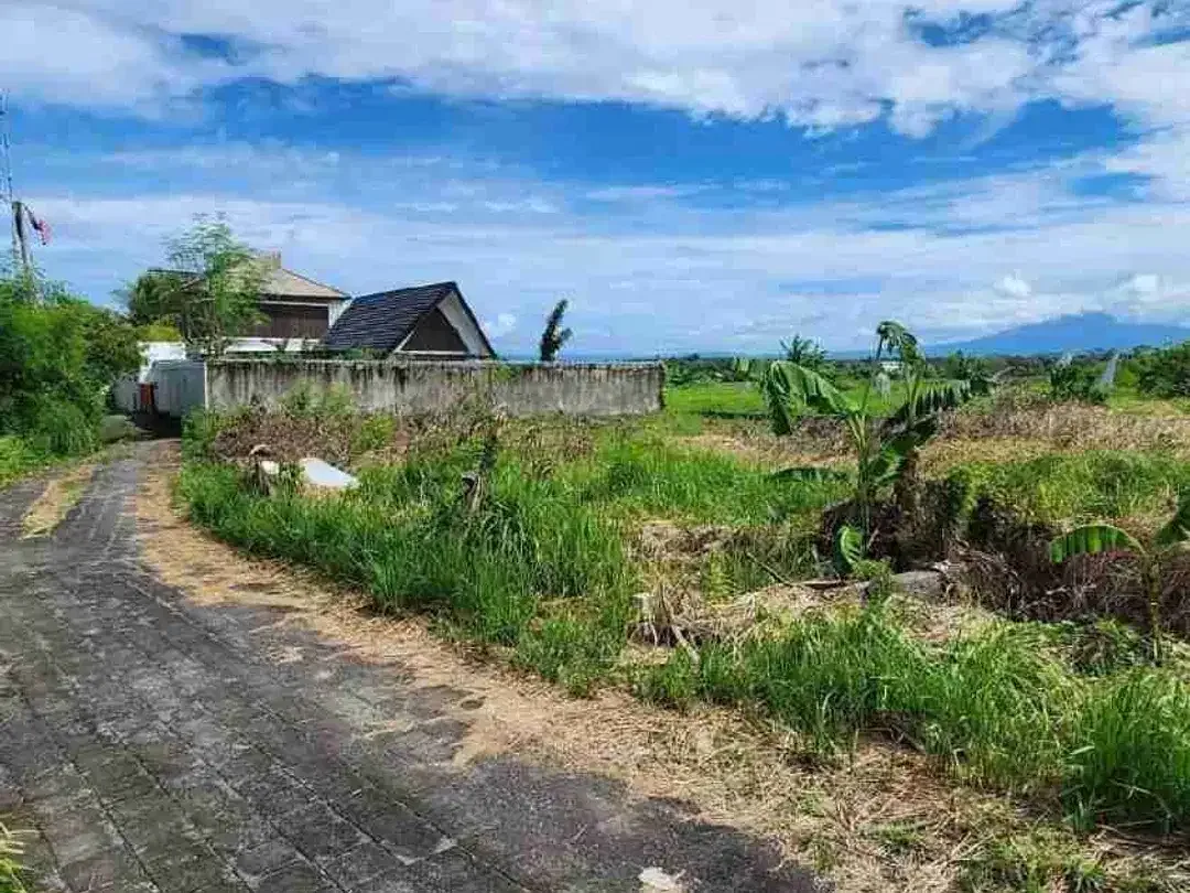 TANAH DIJUAL ZONA PARIWISATA LOKASI PANTAI CEMAGI - BALI - Image 2 of 5