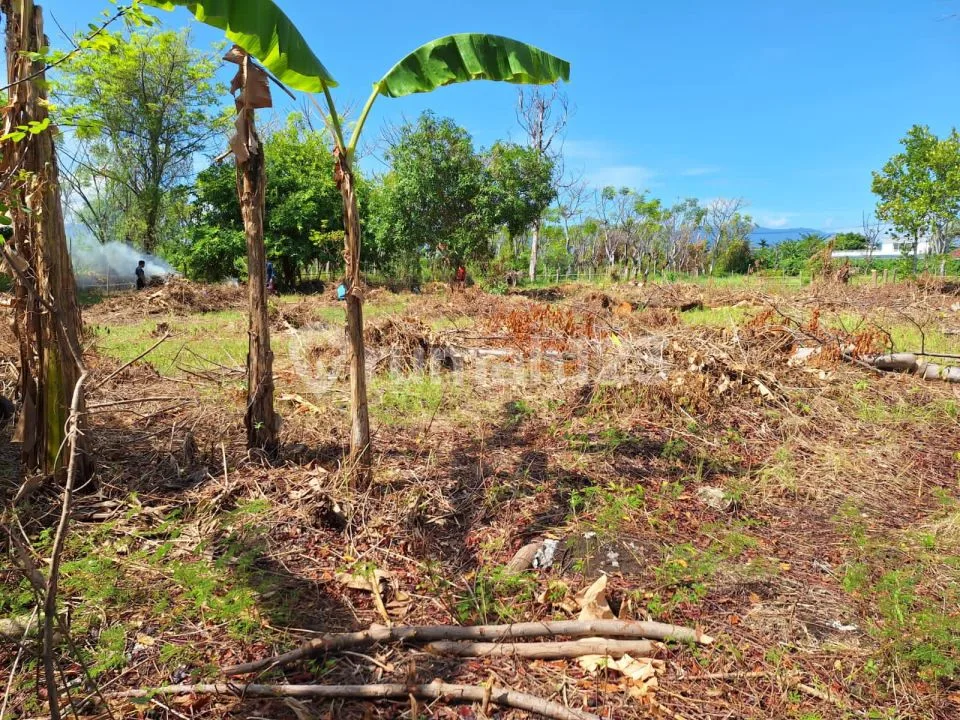 For Sale Land Fantastic View With Good Acces Just 50 Meter To The Beach - Image 1 of 4
