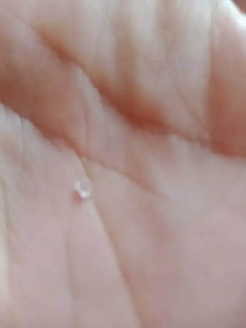 DIAMOND ANT SIZE - Image 1 of 2