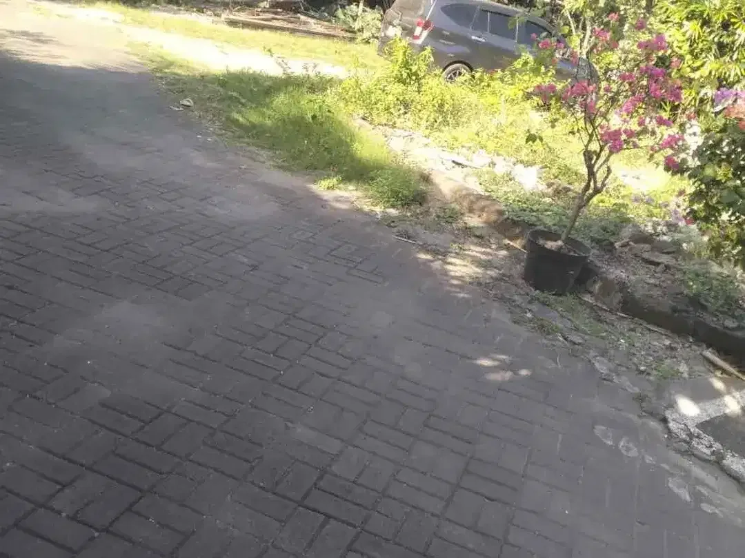 Dijual Tanah Nusa dua 
Dkt tol Bali Mandara
Dkt baipas Ngurah Rai - Image 4 of 5