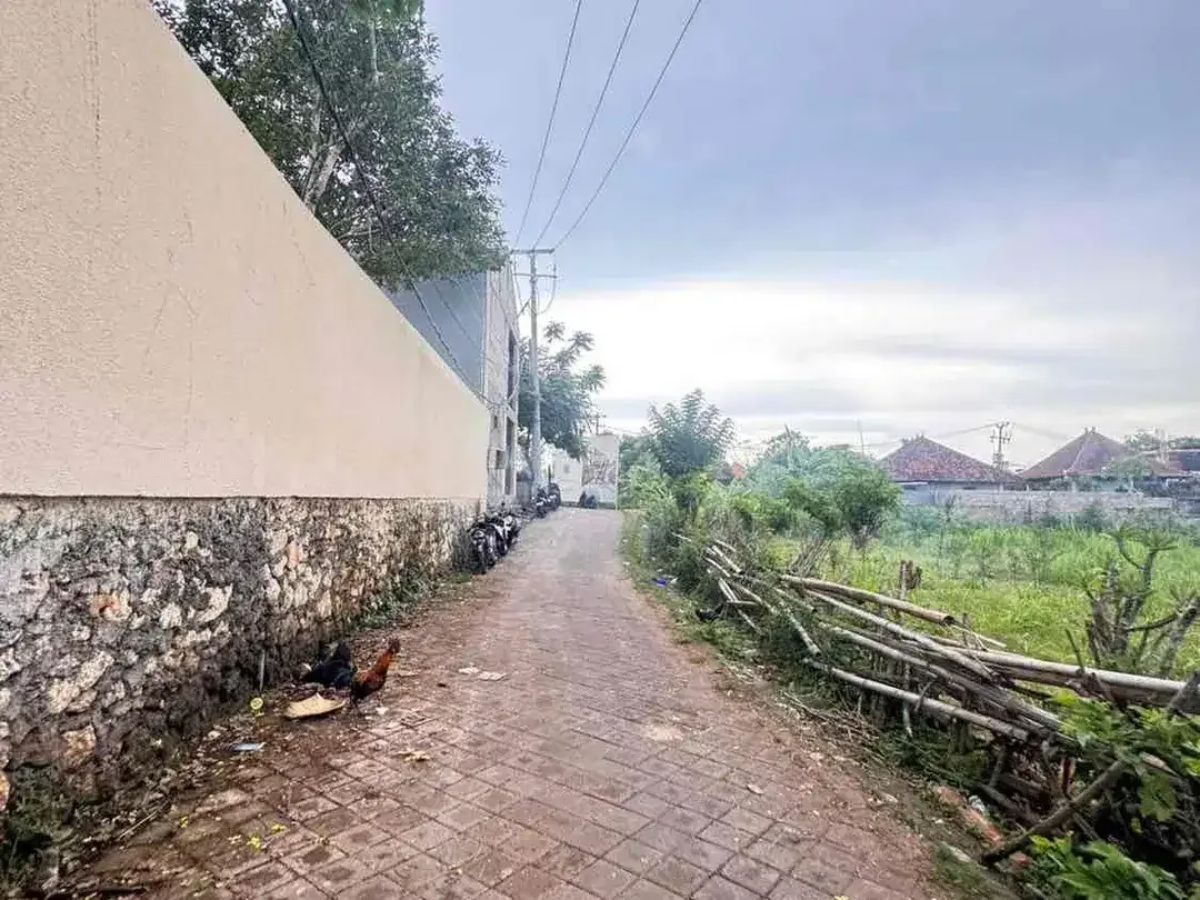 LAND FOR LEASE 2 MINS TO BALANGAN BEACH - Pink Zone - Image 4 of 6