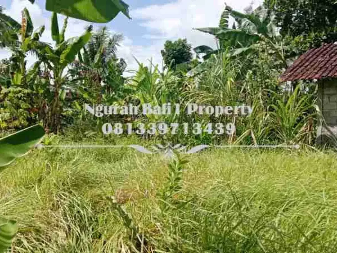 Land For Rent  Luas 900 m2 Kawasan Villa Terletak di Sayan Kelod Ubud - Image 3 of 5