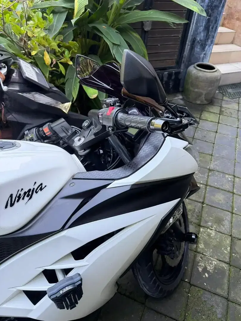 Ninja fi 250 tahun 2016 - Image 7 of 9