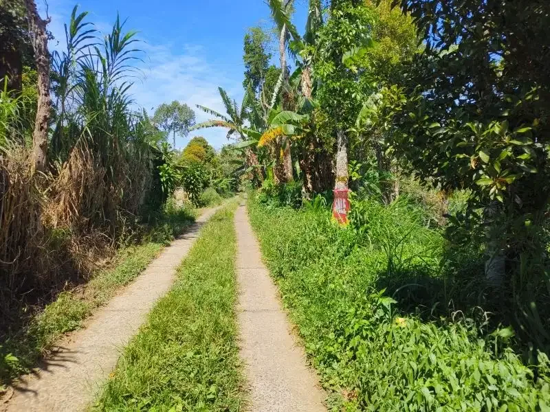 Dijual tanah murah dengan air terjun di bali - Image 10 of 10