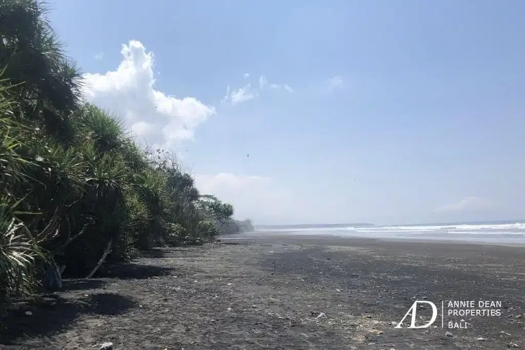 FREEHOLD BEACHFRONT LAND IN PEKUTATAN (3,000 M2) IN TOURISM ZONE - Image 7 of 10