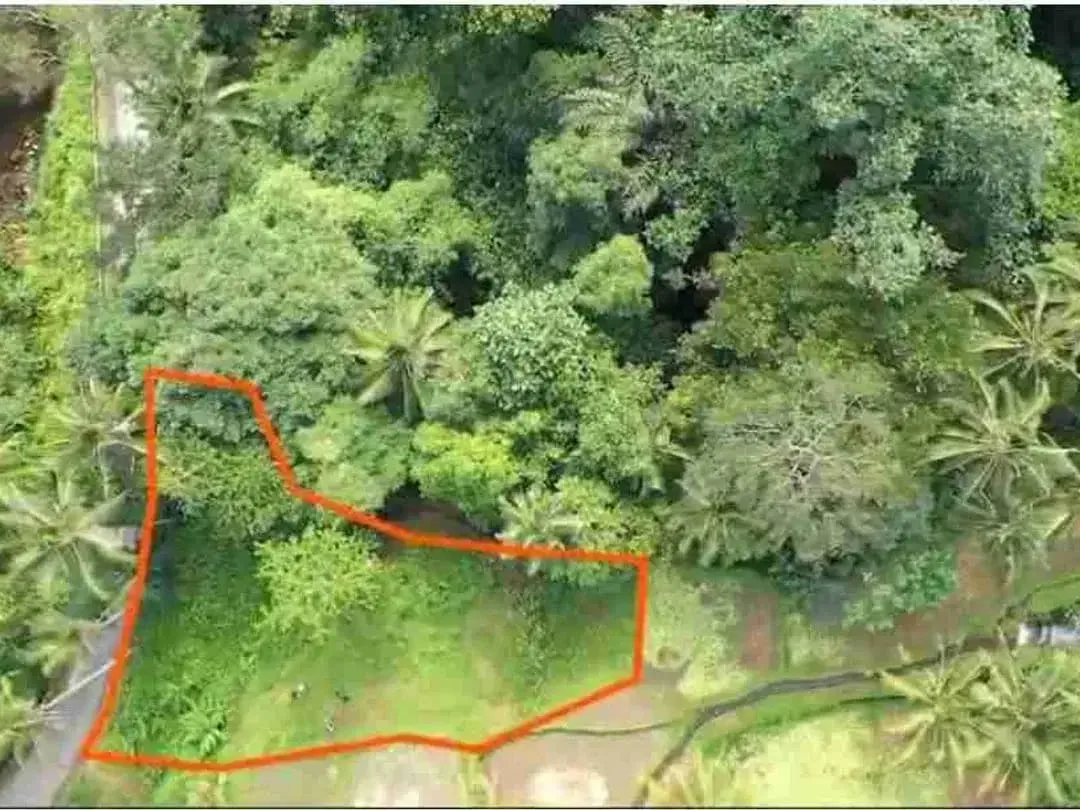 Tanah Murah Los Sungai Zona Kenderan Tegalalang Ubud Bali - Image 1 of 10