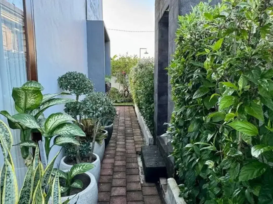 RUMAH MODERN TROPICAL DI BUDUK MENGWI BADUNG - Image 6 of 7