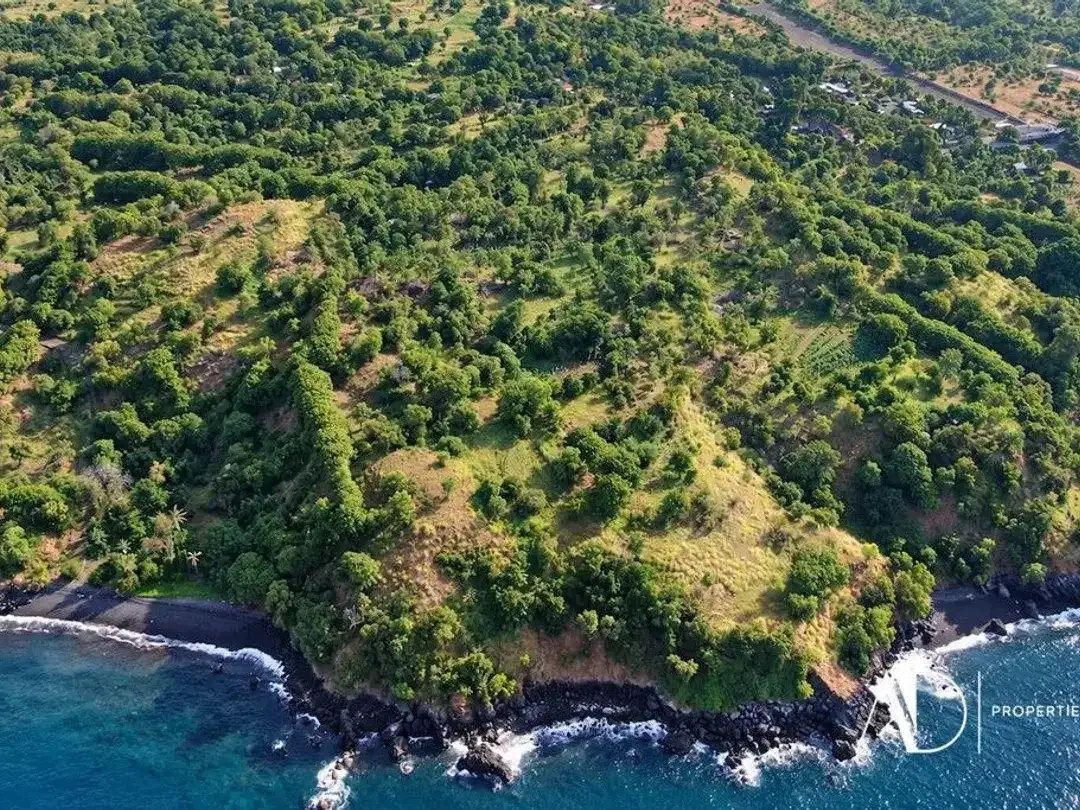 FREEHOLD OCEAN VIEWS LARGE PLOT OF LAND IN TULAMBEN - Image 5 of 7