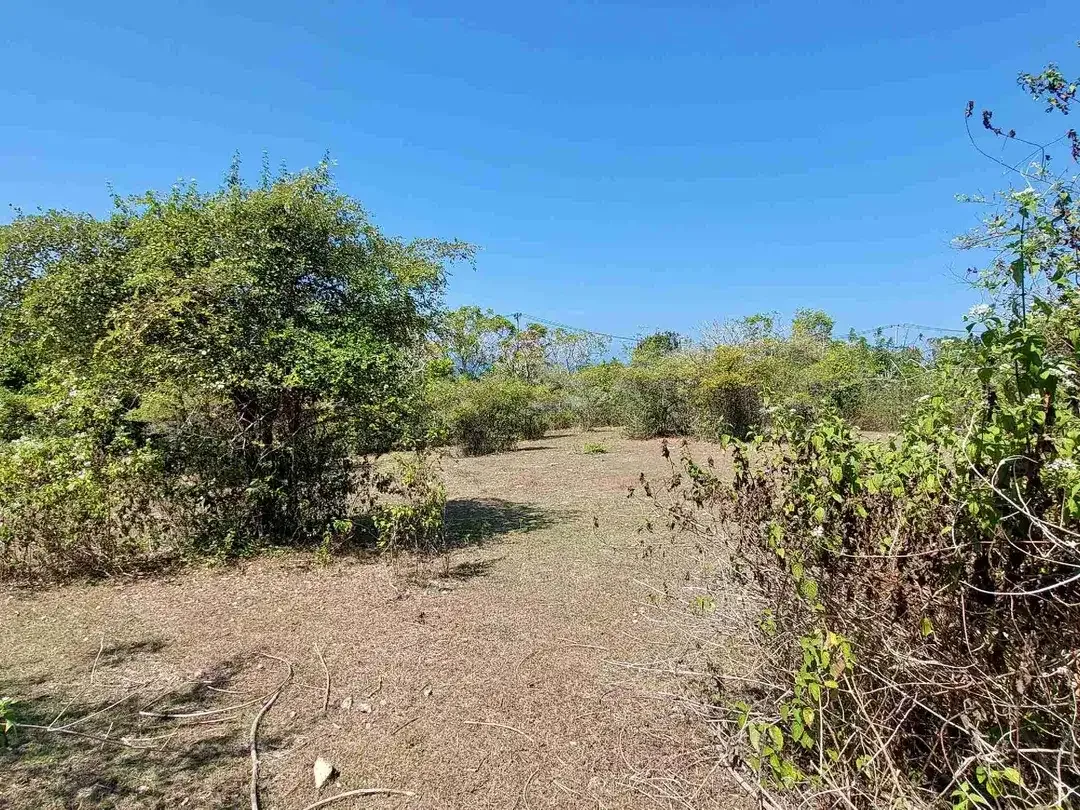 DIJUAL TANAH PREMIUM UNBLOCK VIEW, NUSA DUA - Image 2 of 10