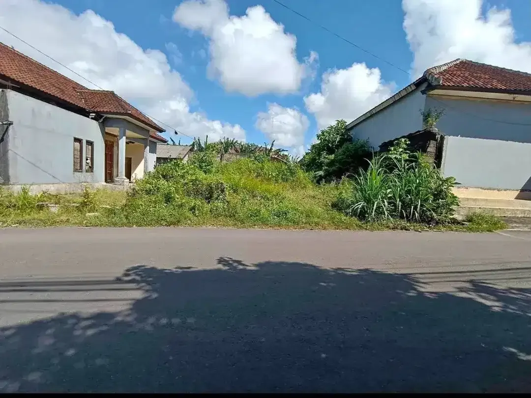 Dijual tanah murah belakang kampus teknik udayana, jimbaran Jln. Lingkar timur Udayana - Image 4 of 5
