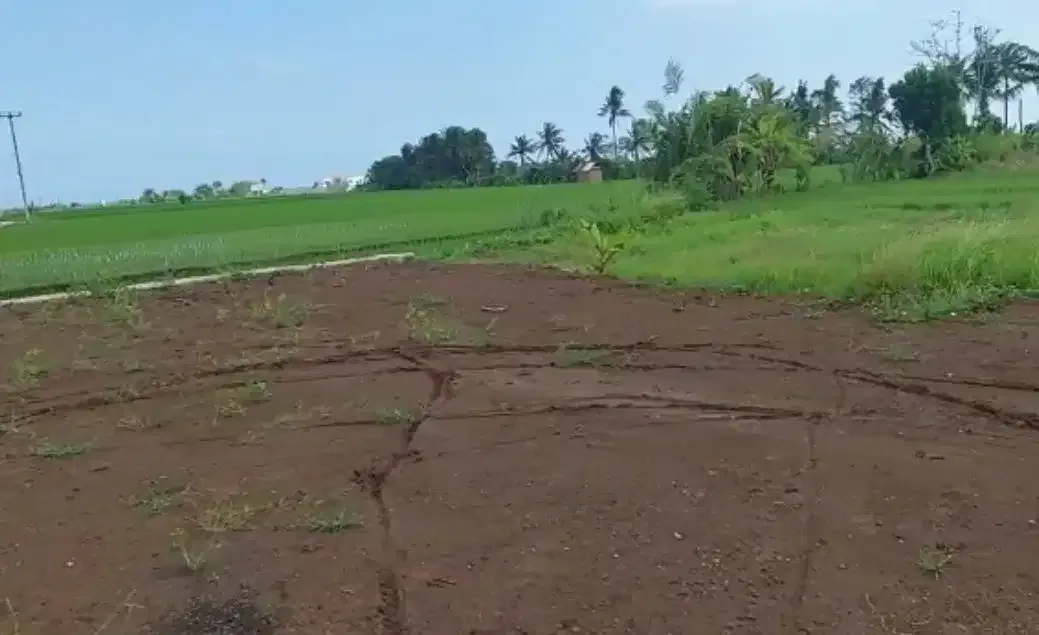 DIJUAL TANAH DEKAT PANTAI KEDUNGU TABANAN - Image 1 of 6