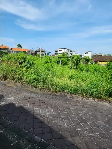 Tanah Murah 6 Are di Berawa Canggu - Image 1 of 9