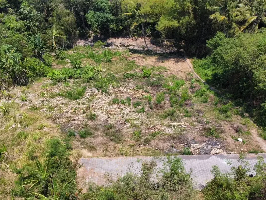 Dijual Tanah Strategis di Pantai Nyanyi Tabanan Bali - Image 5 of 7