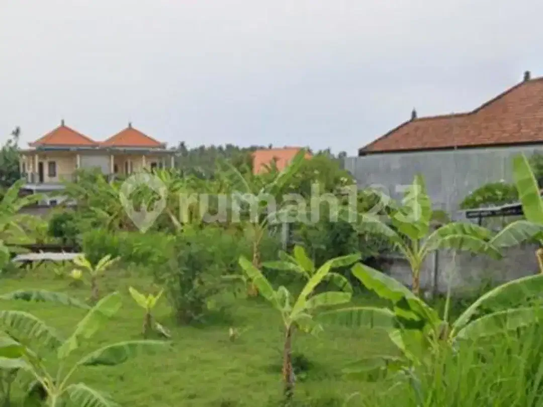 Jarang Ditemukan! Tanah Premium 1.700 M² di Singaraja-Lovina - Image 6 of 8