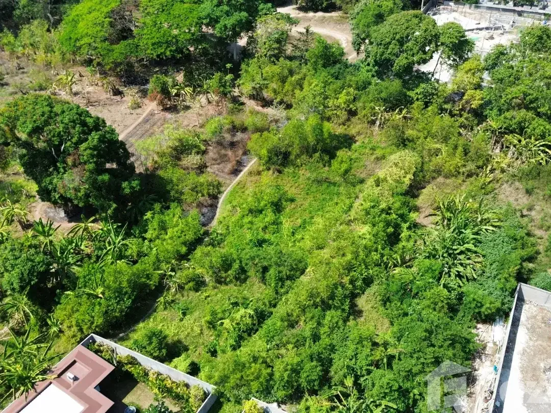 Land for sale in Sanur, Bali - Image 5 of 10