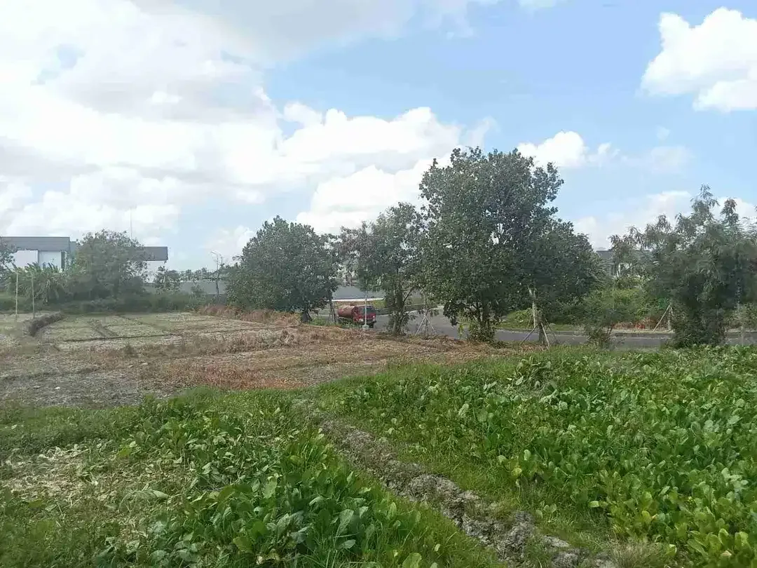DIJUAL / FREEHOLD : Tanah Premium Ocean View, Paddie View, Lingkungan Ciputra Resort, Pantai Pangkung Tibah, Kediri, Tabanan, Bali - Image 7 of 10
