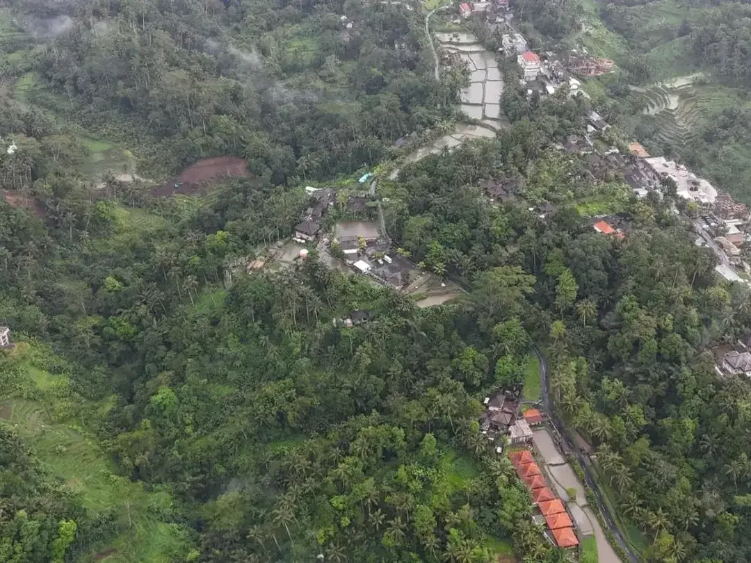 Tanah 1,3 Hektar View Sawah dan Jungle Dekat Rice Terrace Ubud - Image 10 of 10