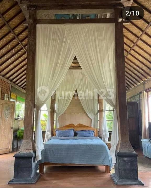 For Rent Villa Rice Field View Strategis 10 Menutes From Sentral Ubud Gianyar Bali - Image 4 of 4