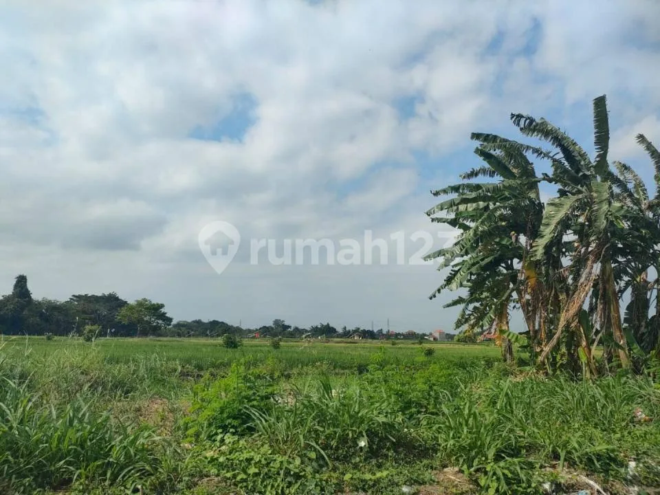 Tanah 215 MÂ² di Kedungu Tabanan View Sawah Lingkungan Villa - Image 4 of 4