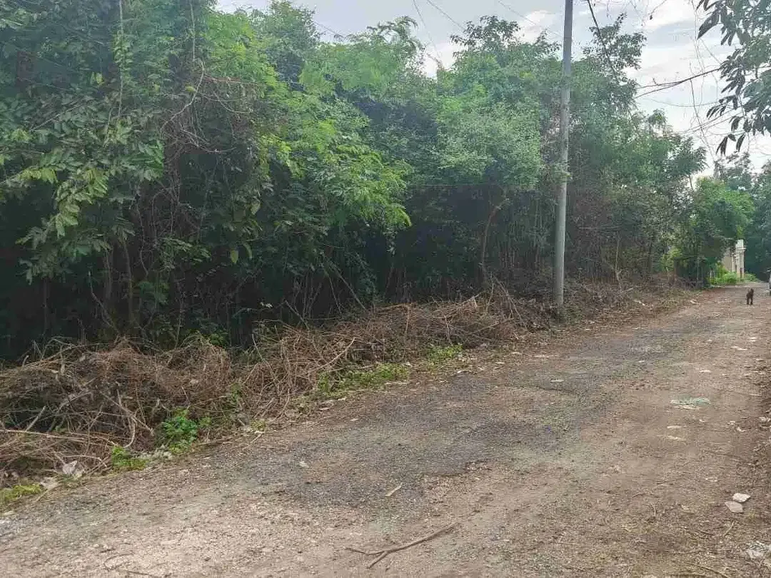 Tanah Strategis Taman Mumbul Nusa Dua Bisa Split 300m2 - Image 6 of 7