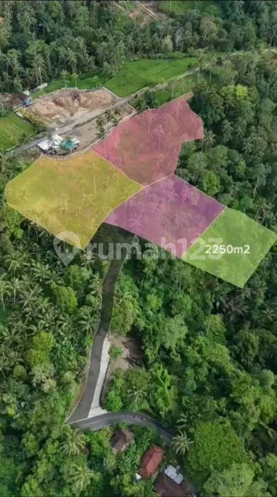 Tanah Keliki Ubud Gianyar - Image 2 of 4