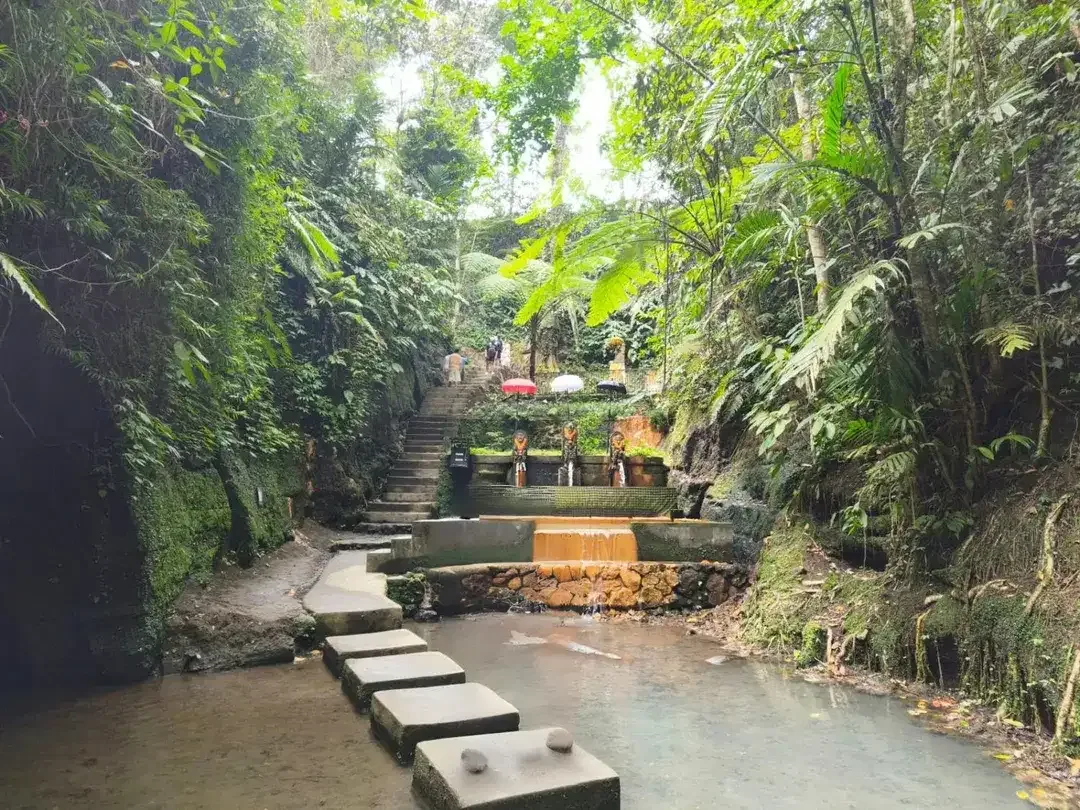 Dijual Tanah Langka View Air Terjun Ulu Petanu, di Jl. Bayad, Kedisan, Tegalalang, Gianyar. - Image 6 of 8
