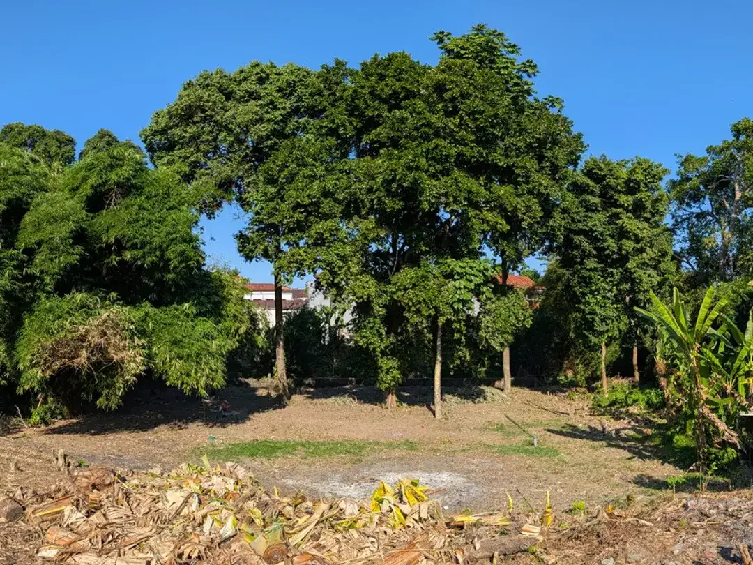 Leasehold - Riverside Land with Mature Trees & Ready Infrastructure in Canggu, Bali - Image 3 of 10