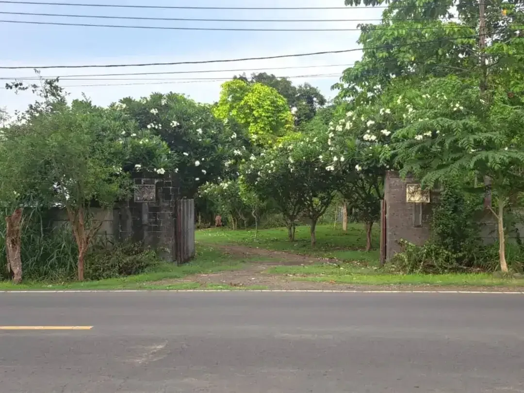 Investasi Pensiun Masa Depan. Dijual Tanah Murah Los Pantai Singaraja. - Image 3 of 8