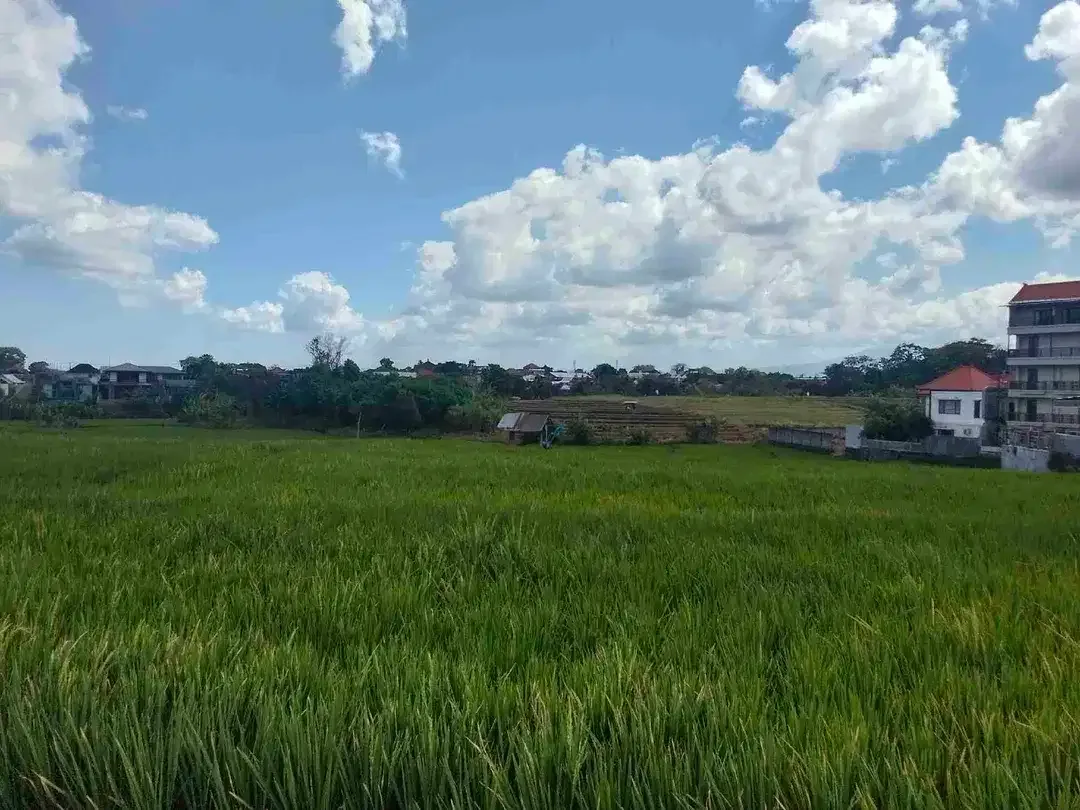 Tanah untuk di jual - Image 1 of 1
