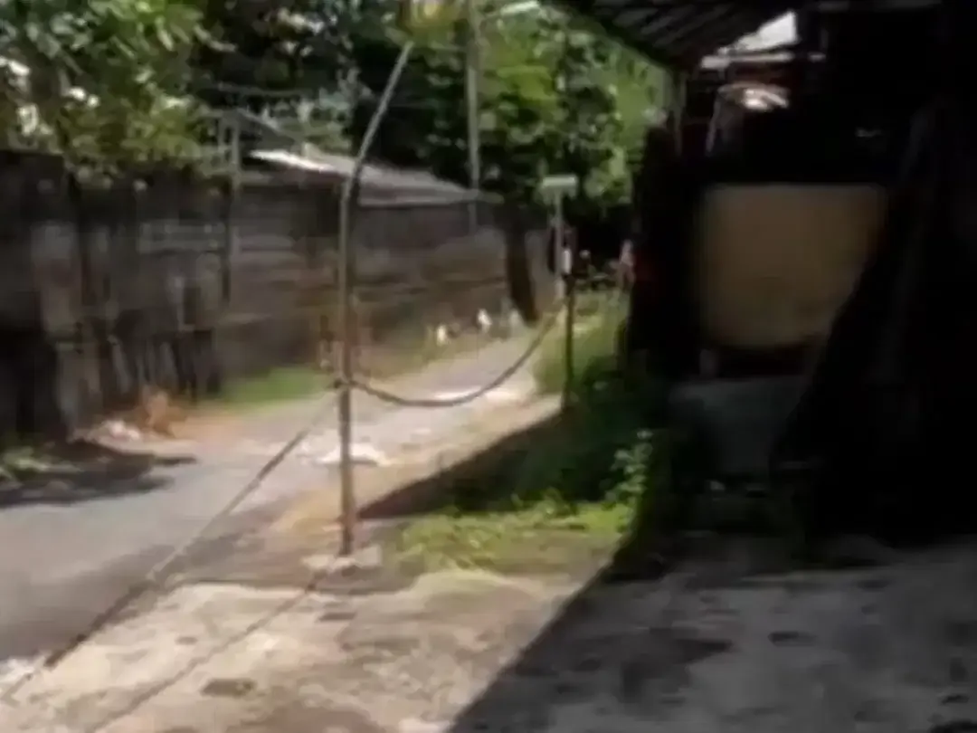 Tanah Bonus Bangunan Cocok Untuk Gudang di Denpasar Timur - Image 4 of 8