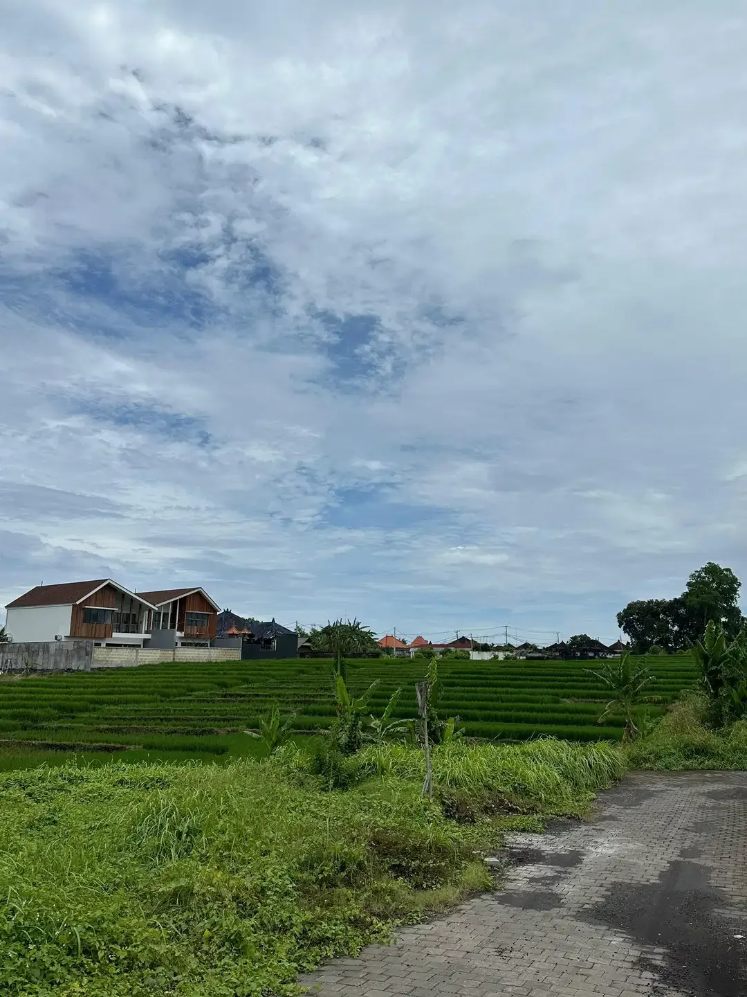 TANAH VIEW SAWAH SUNSET SUNRISE DEKAT CANGGU KEDUNGU - Image 4 of 7