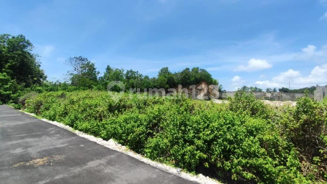 Dijual Tanah Luas 20078 M2 yang Berlokasi di Gayangsari Kutuh - Image 3 of 4
