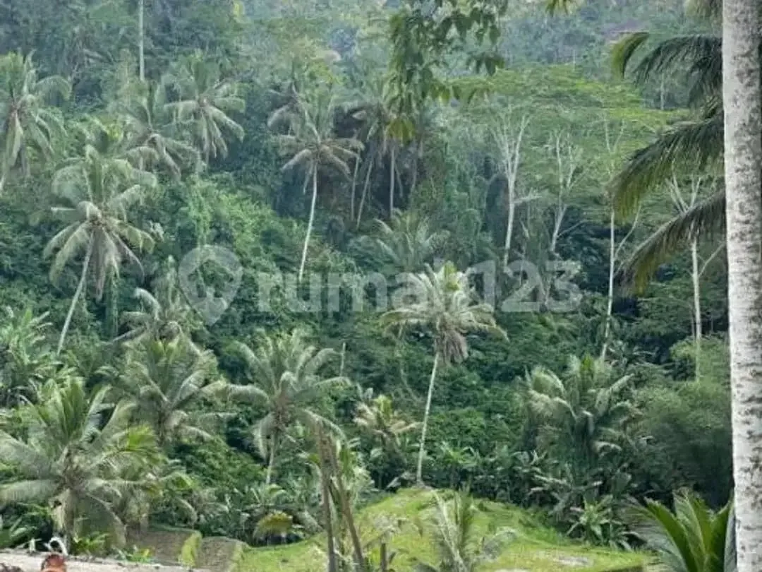 Jual Tanah Bonus 6 Villa Siap Huni Gianyar Ubud - Image 2 of 7